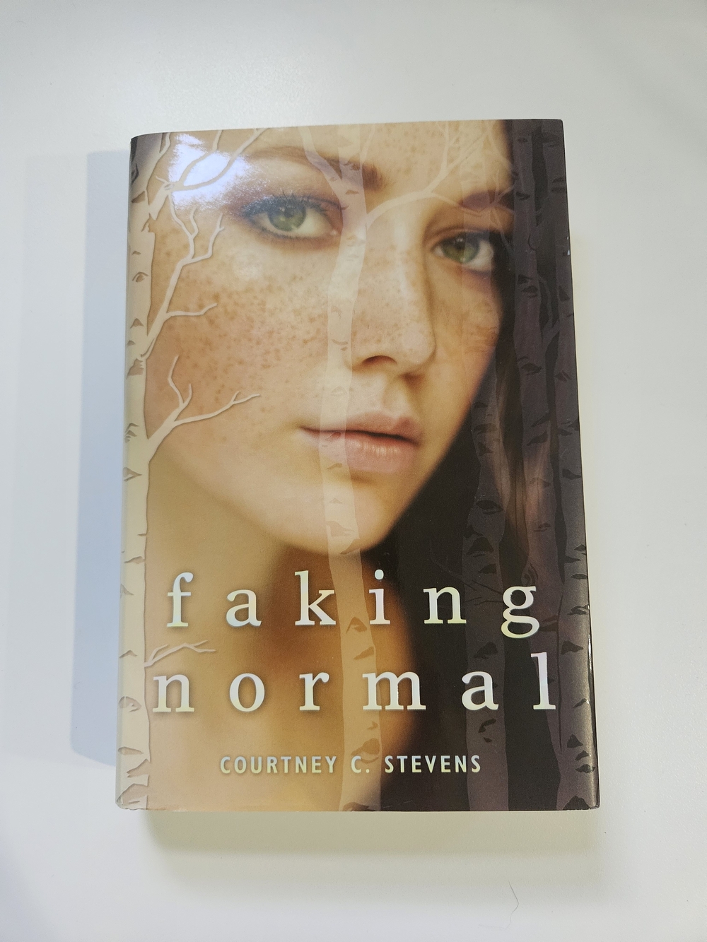 faking normal by Courtney C. Stevens